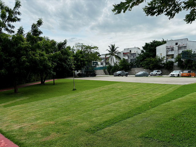 place photo 22