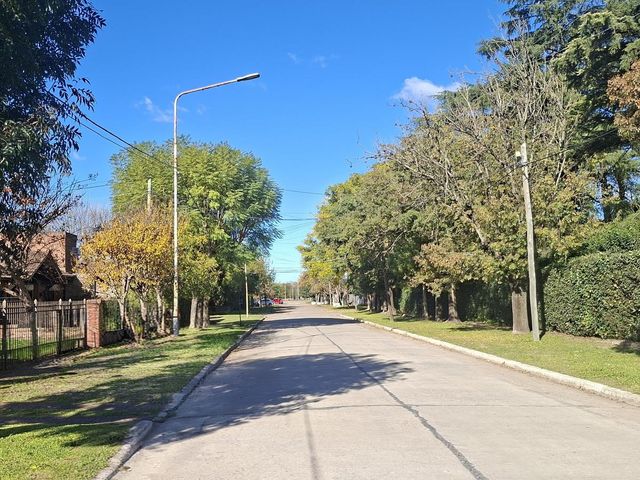 place photo 23