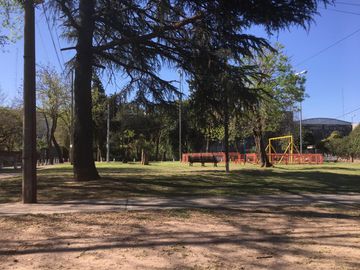 place photo 28