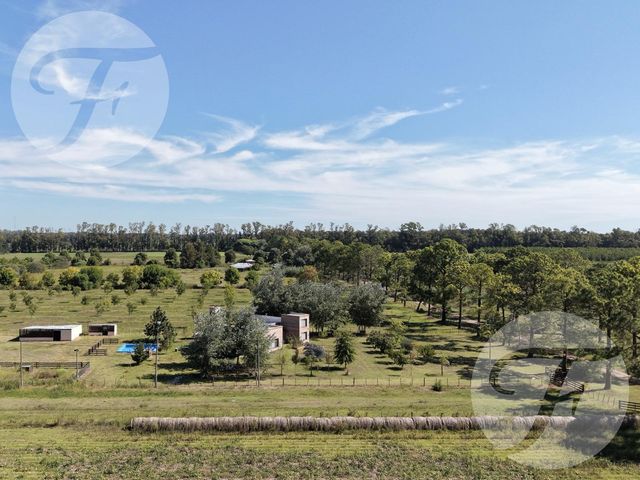 place photo 41