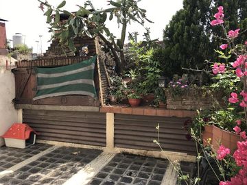 place photo 10