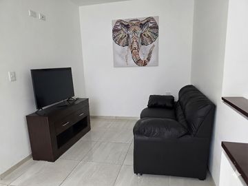 place photo 22