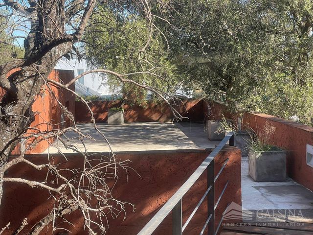 place photo 56