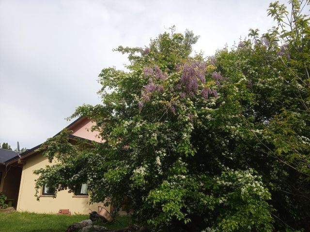 place photo 34