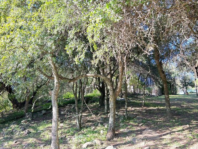 place photo 34