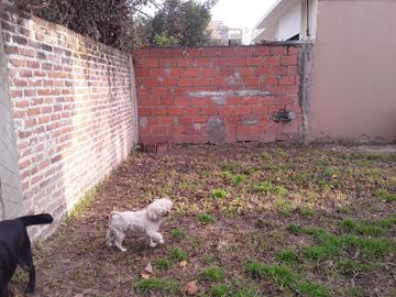 place photo 30