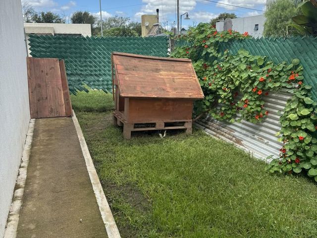 place photo 34