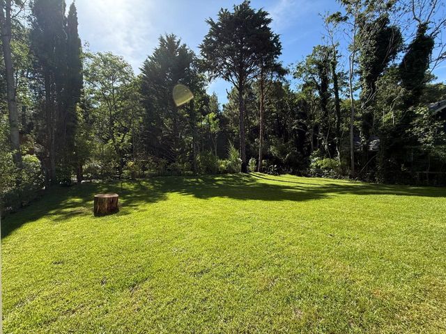 place photo 64