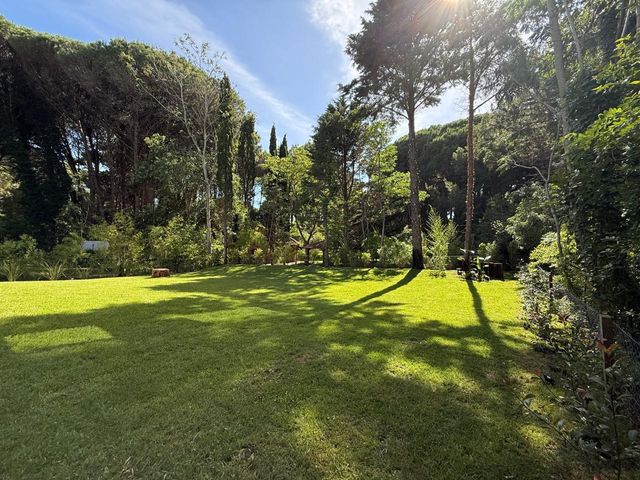 place photo 62