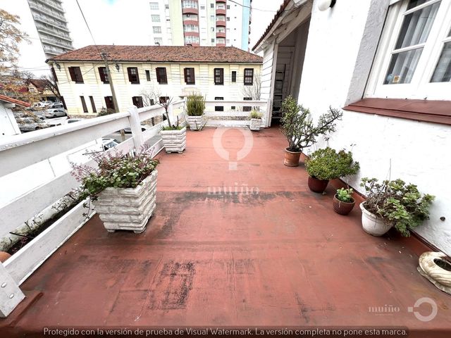 place photo 58
