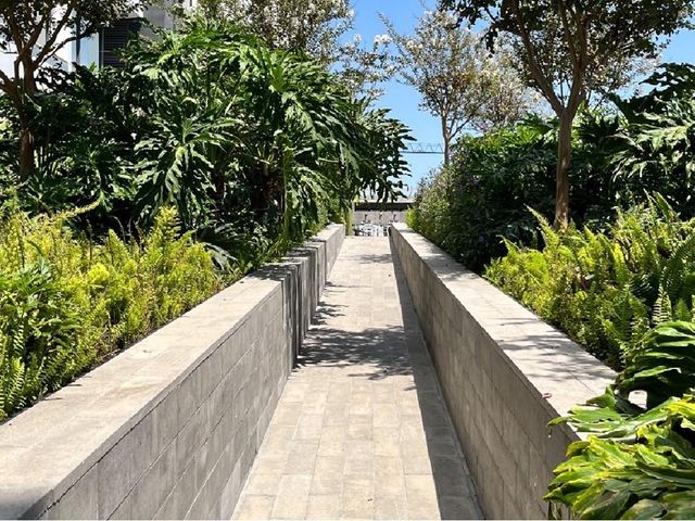 place photo 37
