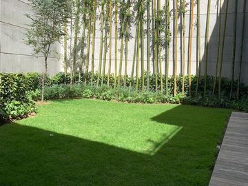 place photo 56