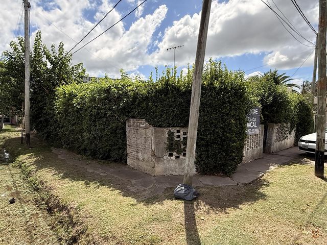 place photo 23