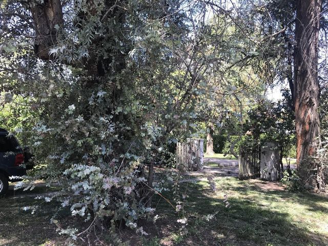 place photo 23