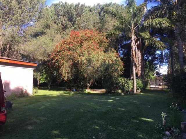 place photo 13