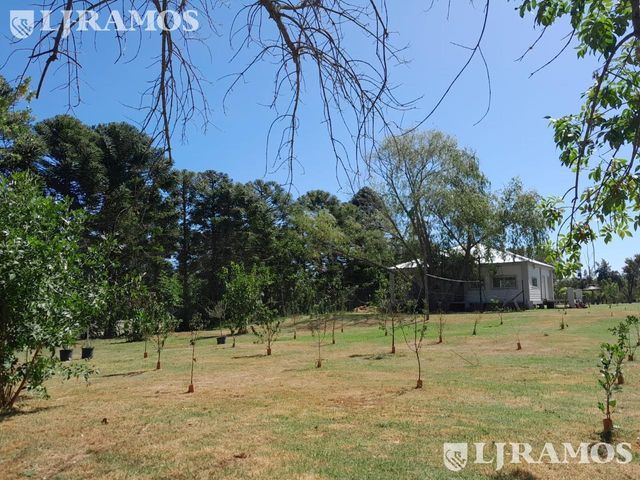 place photo 19