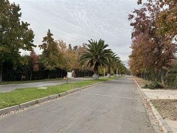 place photo 39