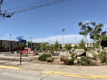 place photo 18