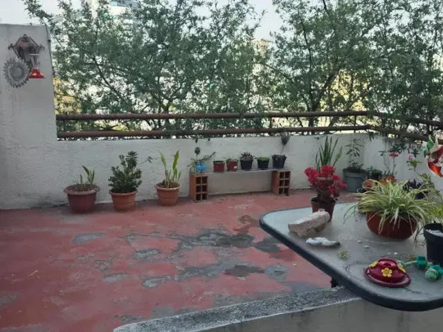 place photo 40