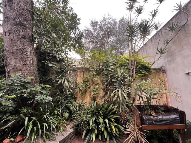 place photo 95