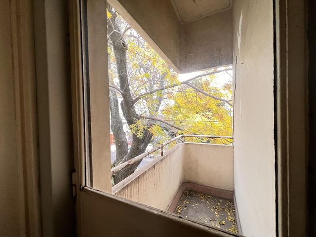 place photo 52