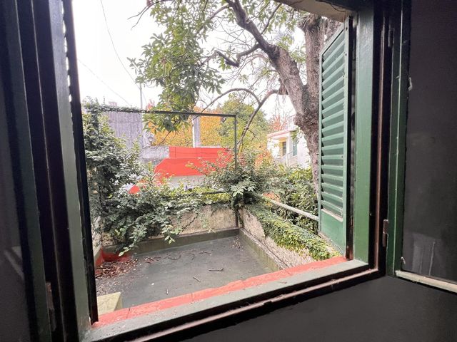 place photo 79
