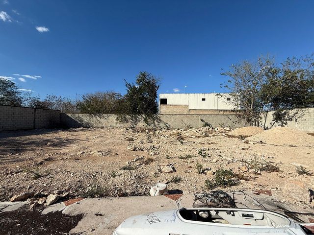 place photo 3