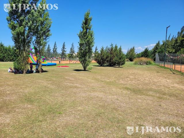 place photo 29