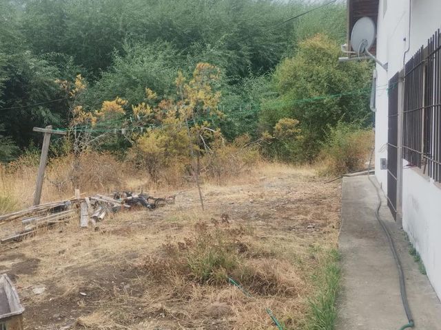 place photo 85