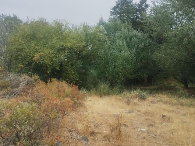 place photo 65