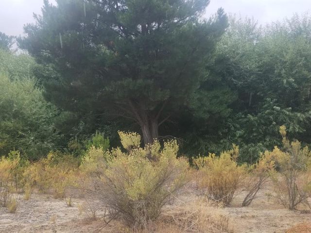 place photo 79
