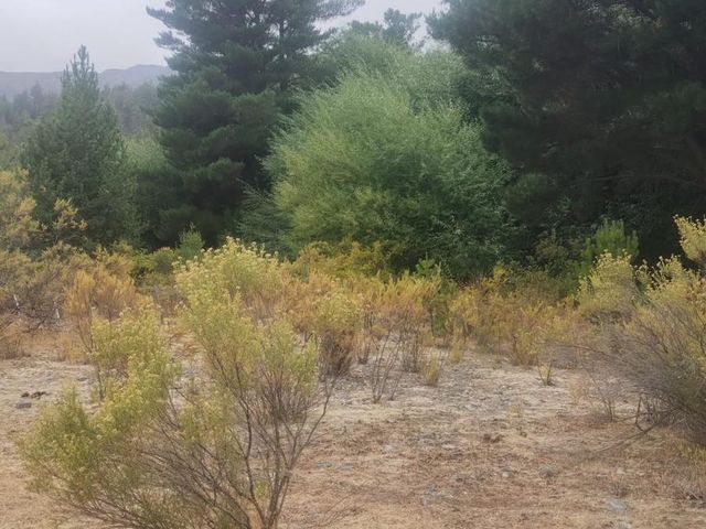 place photo 63