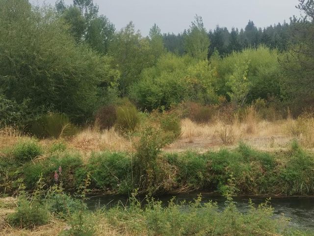 place photo 89