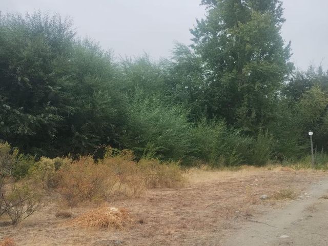 place photo 78