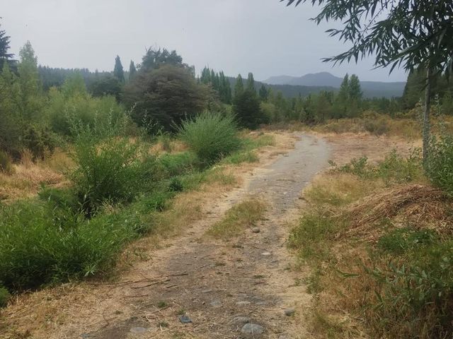 place photo 68