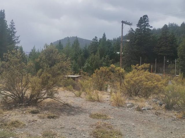 place photo 58