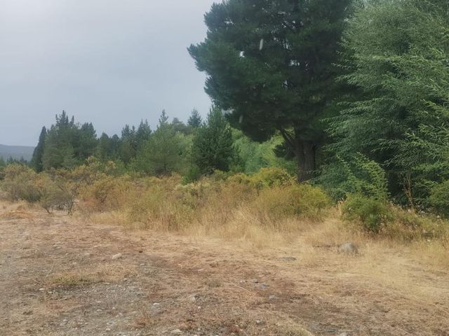 place photo 82