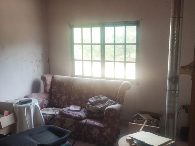 place photo 35