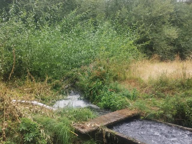 place photo 71