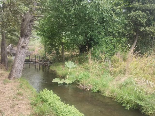place photo 64