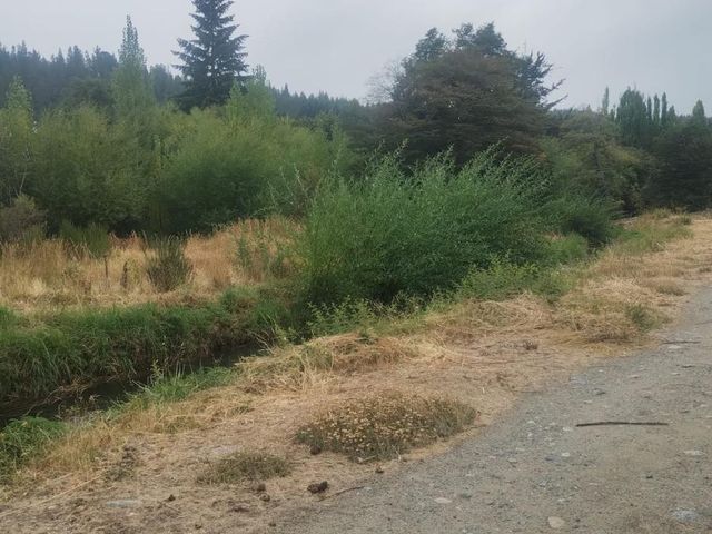 place photo 81