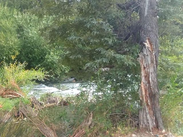 place photo 93