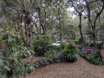 place photo 33