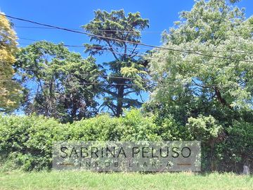 place photo 23