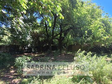place photo 21