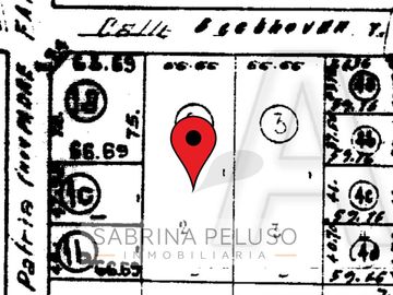 place photo 25