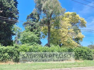 place photo 24