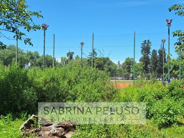place photo 20