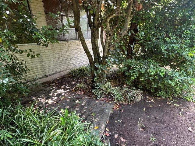 place photo 50