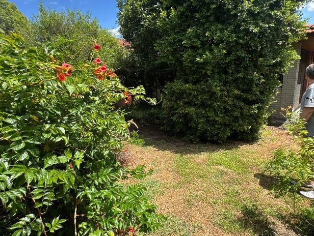place photo 53